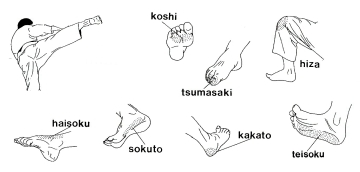 Les armes naturelles du pied du karaté