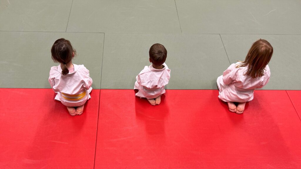 Initiation au karaté pour jeunes débutants à Bernex